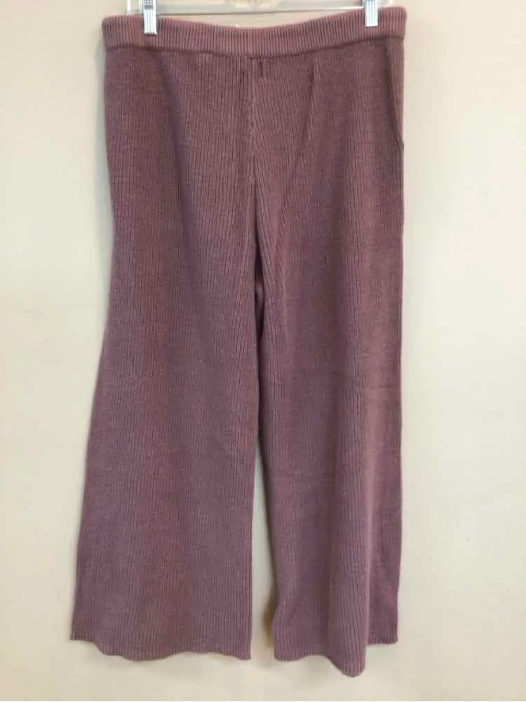 AERIE SIZE LARGE Ladies PANTS