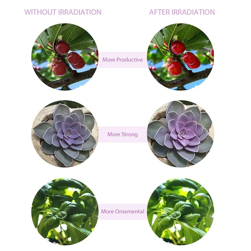 Lampara Phytolamp para plantas